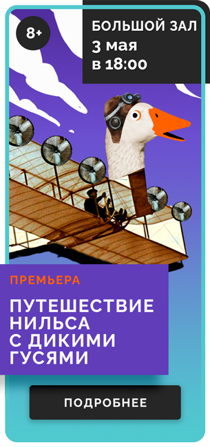 ПУТЕШЕСТВИЕ НИЛЬСА С ДИКИМИ ГУСЯМИ *8+